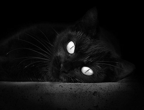 中国女排迎战巴西全员状态上佳，中国女排在巴西最新比赛